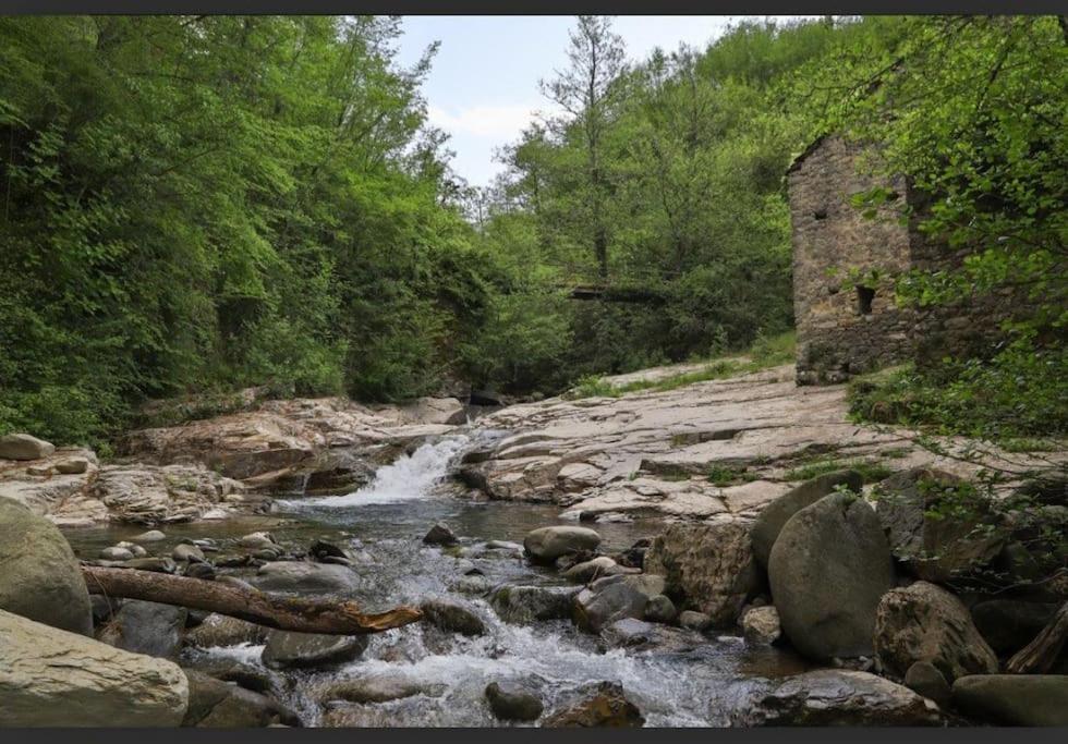 Wayne'S House, A Short Walk To The Waterfalls Bagnone Экстерьер фото